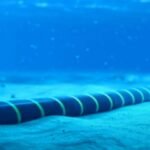 Cabo submarino vindo da Europa é ancorado em Fortaleza