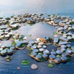Mundo Inteligente - Oceanix Cidade Flutuante