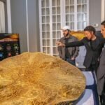 Cidade Bitcoin em El Salvador