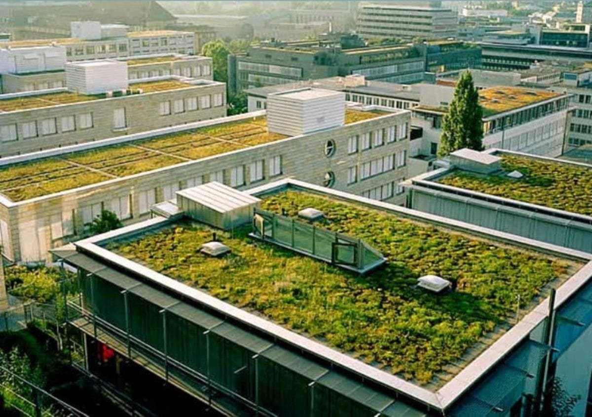 Telhado Verde